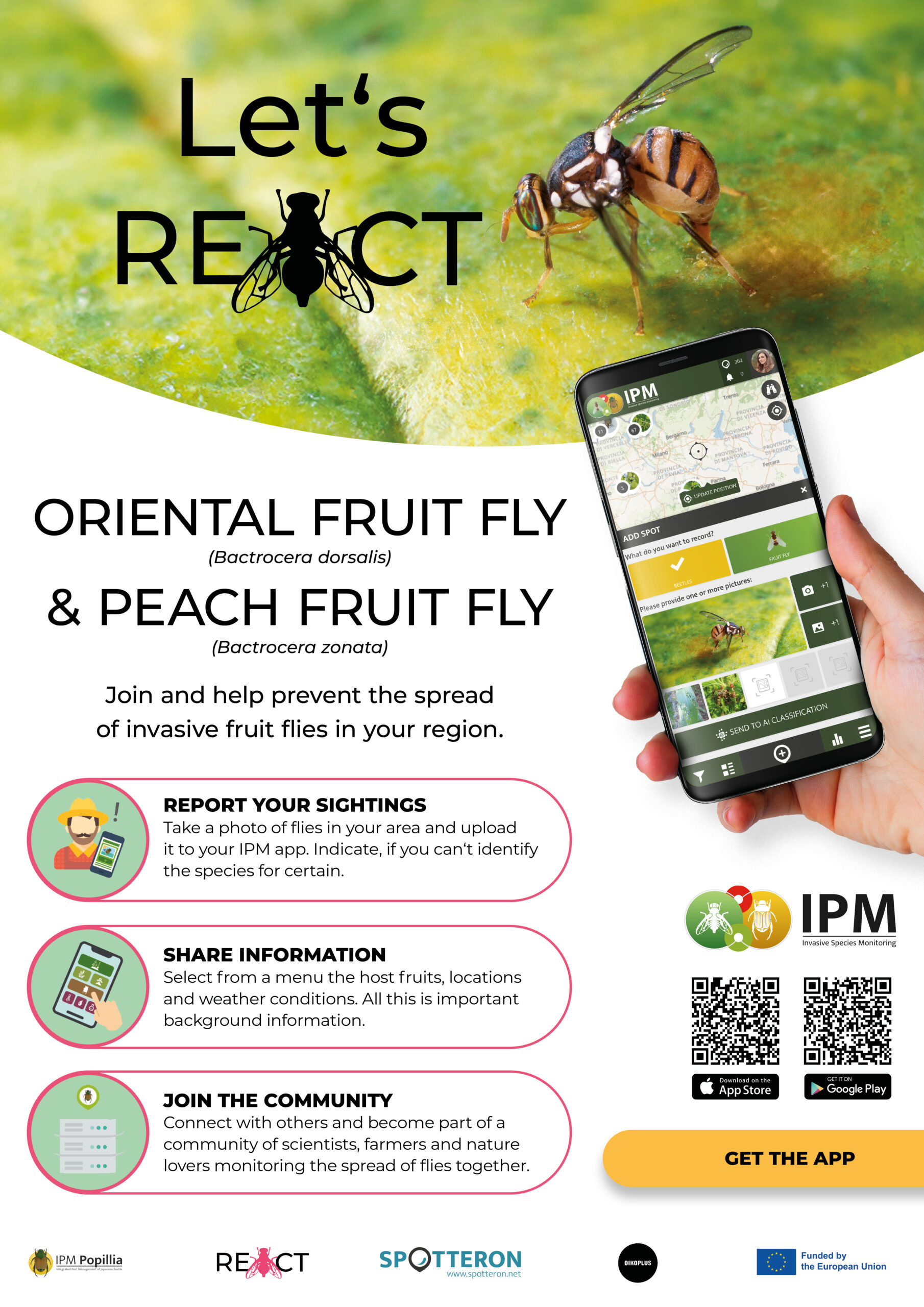 REACT poster_English. High resolution incl QR Codes to App.