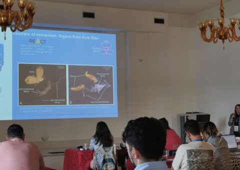  Metabolomics Academy: Applications for One Health