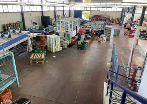 REACT Engages Media in Naousa to Showcase Localised SIT Strategy