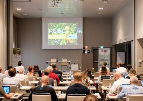 REACT Stakeholder Meeting in Parma: Innovation, Regulation and the Future of SIT