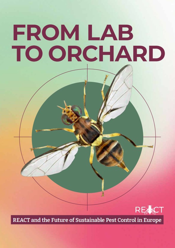 Report Cover