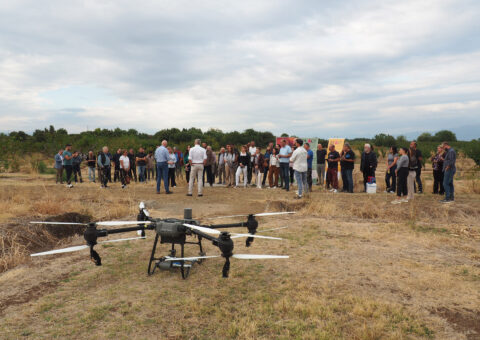 Drone Release in Naousa
